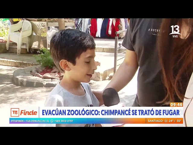 ⁣Evacuan Zoologico Metropolitano: Chimpancé se trató de fugar