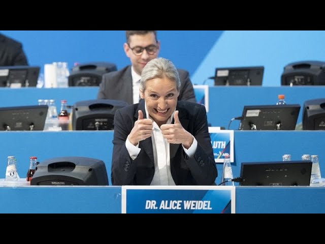 ⁣Germany's AfD party confirms Alice Weidel as its candidate for chancellor