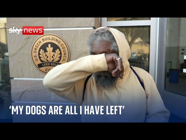 ⁣Heartbreak for Los Angeles residents who fled the flames - some with just their pets