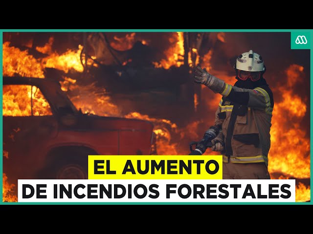 ⁣El aumento de los incendios forestales: 99% son provocados por la acción humana