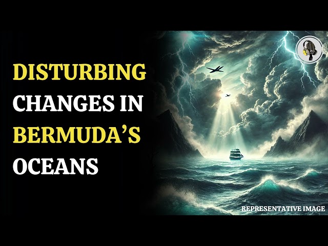 ⁣Alarming Changes in Bermuda's Waters Signal Global Ocean Health Crisis  | WION Podcast