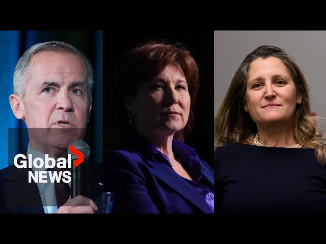 ⁣Who are the top candidates in the Liberal leadership race?