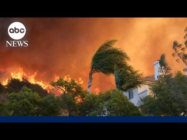 ⁣How the perfect climate storm led to widespread fire devastation in California