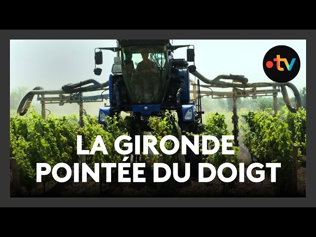 ⁣La Gironde, championne de l’usage des pesticides : une inquiétante réalité