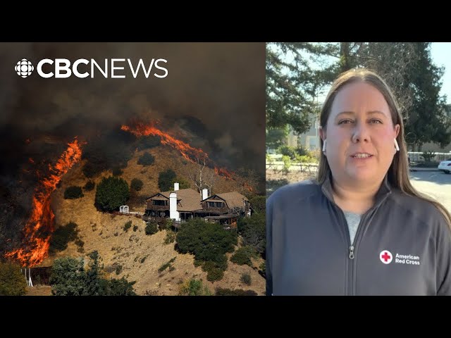 ⁣How is the Red Cross helping L.A. wildfire evacuees?