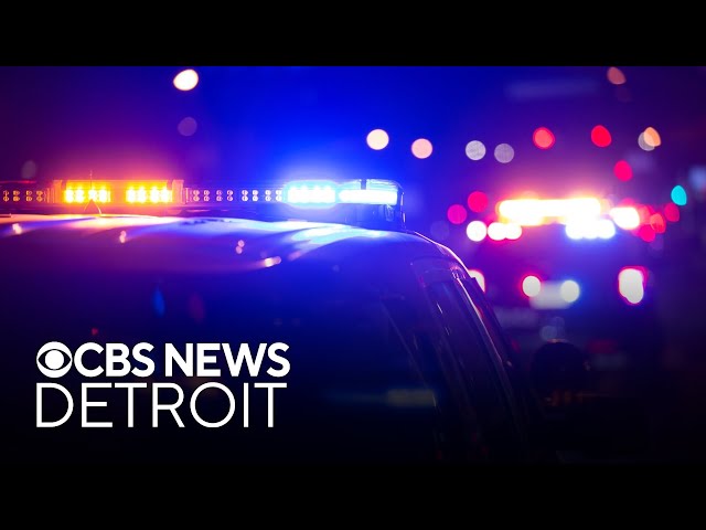 ⁣Detroit police looking for two men in connection with 3 burglaries