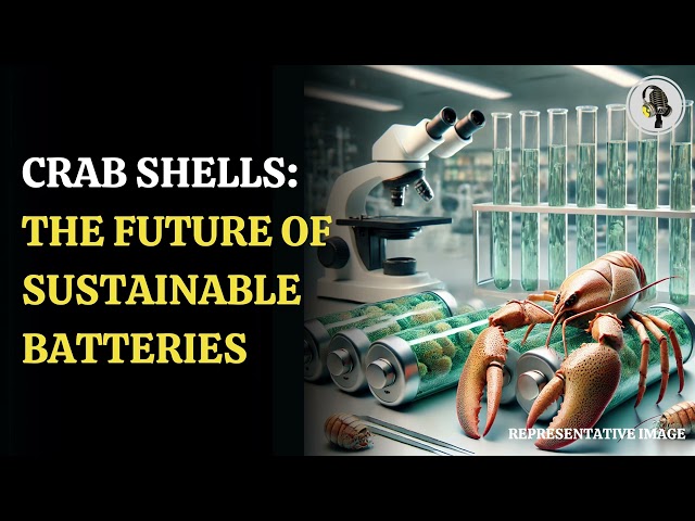 ⁣Sustainable Batteries Made from Lobster Shells and Crab-Derived Chemicals | WION Podcast