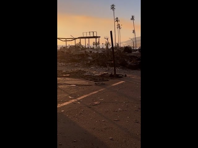 ⁣LA wildfire victims return to neighborhoods burnt to ash #Shorts