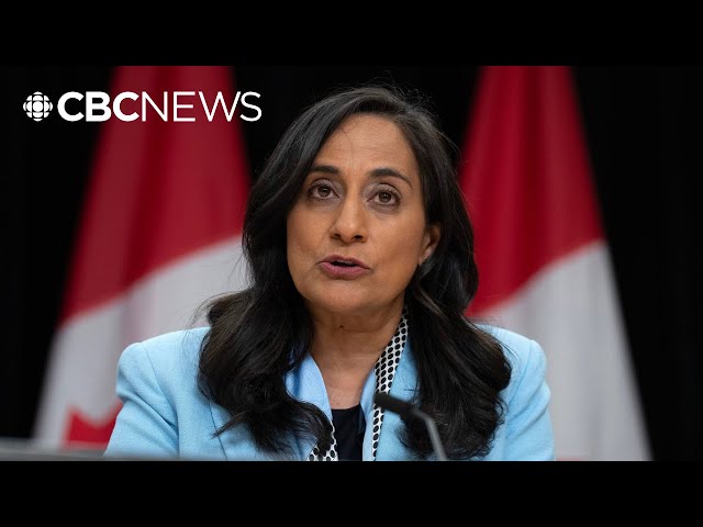 ⁣Anita Anand won't run for Liberal leadership, won't seek re-election