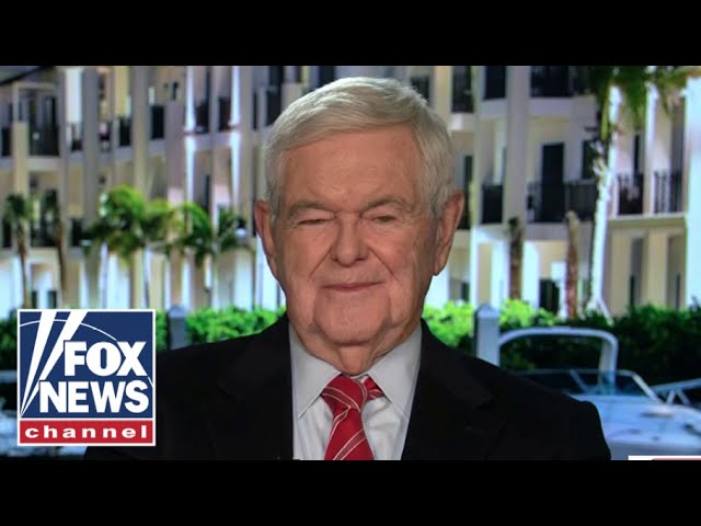 ⁣Newt Gingrich: Politicians in California 'range between radically stupid and corrupt'