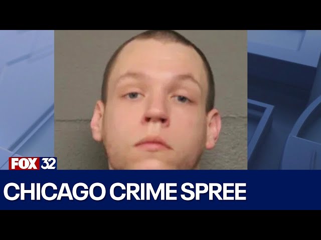 ⁣Florida man's crime spree in Chicago ends with arrest after reselling stolen items: sheriff