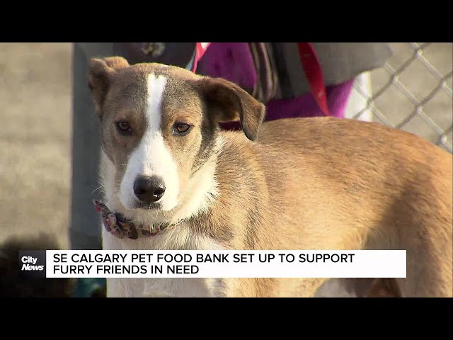 ⁣SE Calgary Pet Food Bank set up to support furry friends in need