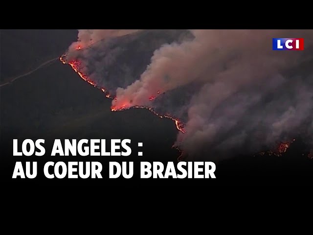 ⁣Los Angeles : au cœur du brasier｜LCI