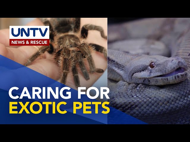 ⁣5 THINGS that you  NEED to KNOW in caring 'exotic' pet? | Pet Talk