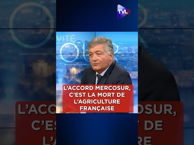 ⁣« L'accord UE-Mercosur, c'est la mort de l'agriculture française et européenne »