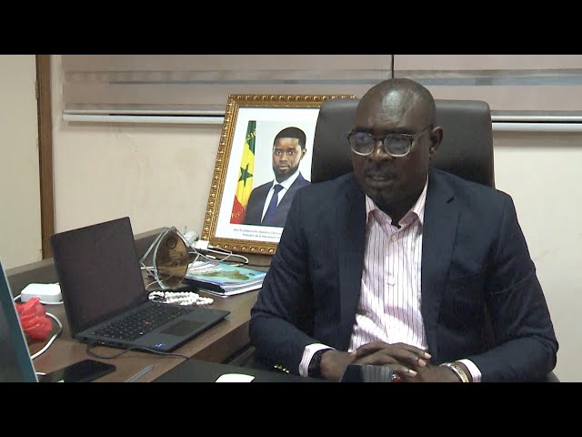 ⁣GLOBALink | Senegal should take China as model for development, says official