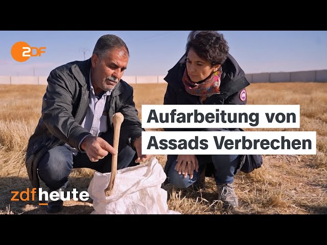 ⁣Syrien: Reise durch ein traumatisiertes Land I auslandsjournal