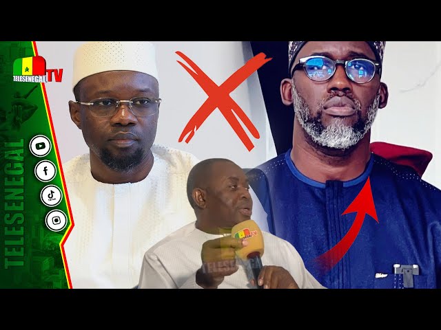 ⁣Dialogue SONKO-Barth, Fadilou Keita conteste... Mamadou Lamine Dianté fixe les limites