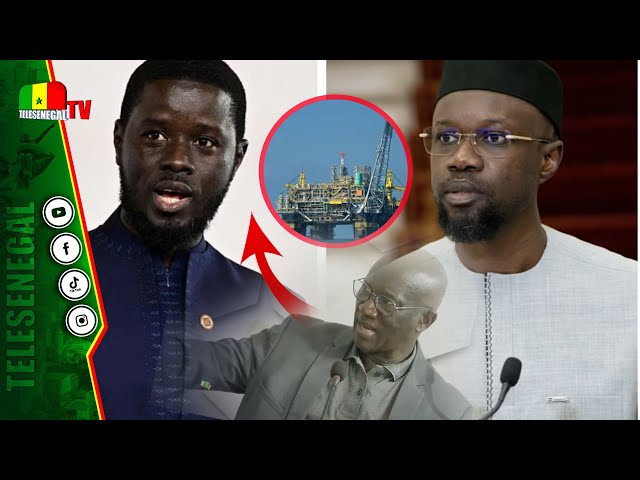 ⁣Les pertinentes propositions de Serigne Mbacké Ndiaye à Diomaye et SONKO sur l'argent du pétrol