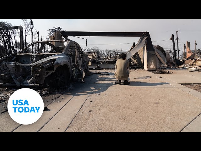 ⁣Victims of the Los Angeles wildfires share a common thread of loss | USA TODAY