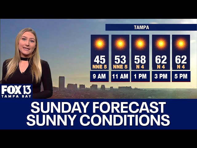 ⁣Tampa weather | Sunny conditions on Sunday