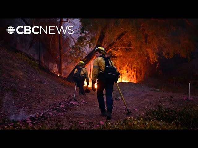 ⁣Canada, Mexico sending firefighters to help put out California wildfires