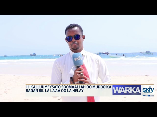 ⁣WARKA HABEEN EE SNTV 12 01 2025