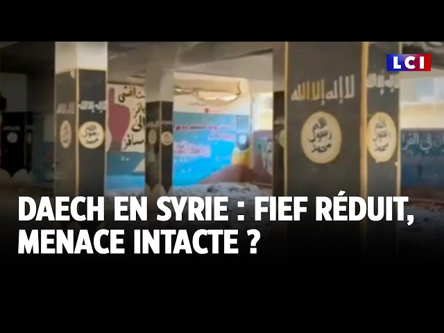 ⁣Daech en Syrie : fief réduit, menace intacte ?｜LCI