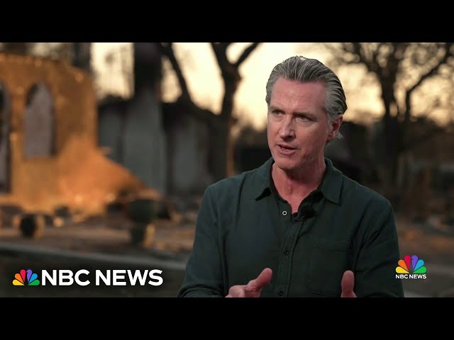 ⁣Gov. Newsom says he’s organizing a Marshall Plan to reimagine ‘L.A. 2.0’ after wildfires