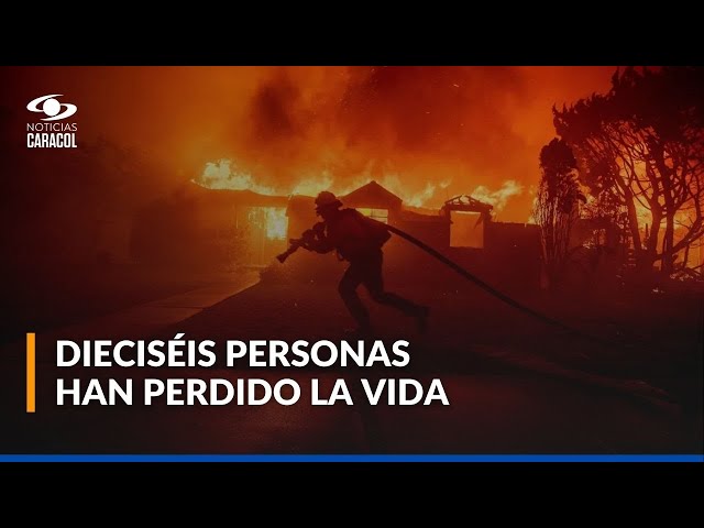 ⁣Se cumplen cinco días de los voraces incendios en Los Ángeles, Estados Unidos