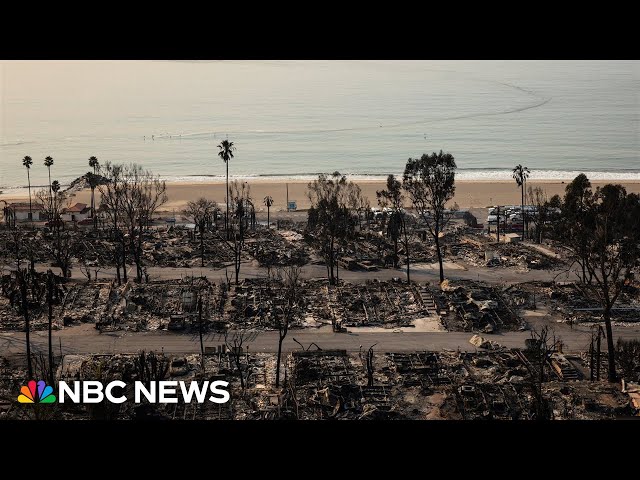 ⁣Watch live: Officials hold briefing on Palisades Fire | NBC News