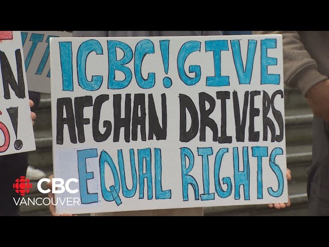 ⁣Afghanistan driver's license holders in B.C. call for ICBC reforms