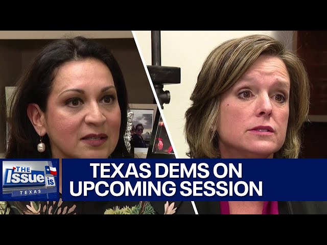 ⁣Texas Dems on key issues in 2025 legislative session | Texas: The Issue Is