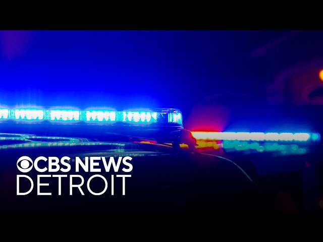 ⁣Two Detroit-area brothers accused of attempted murder in Pontiac