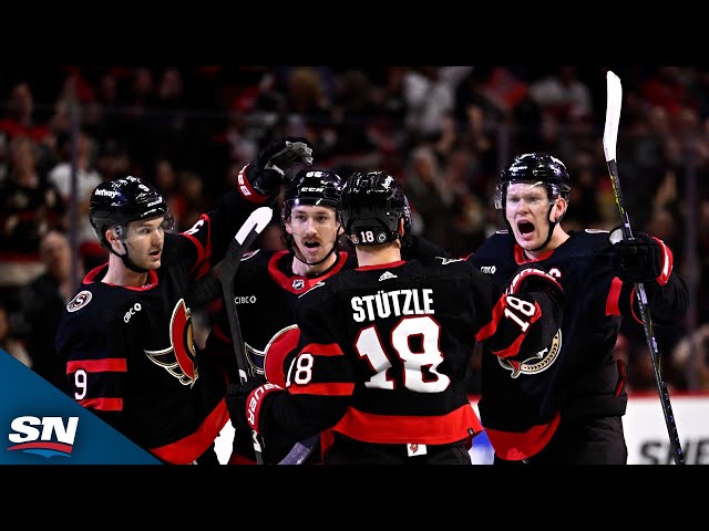 ⁣Senators Score Two Goals In 38 Seconds To Take The Lead Over Dallas