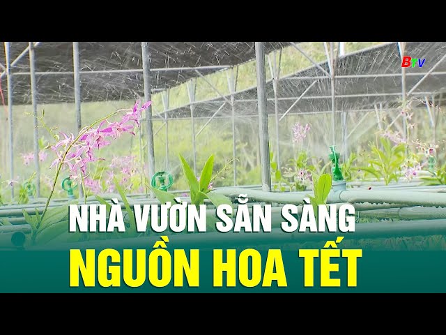 ⁣Nhà vườn sẵn sàng nguồn hoa Tết