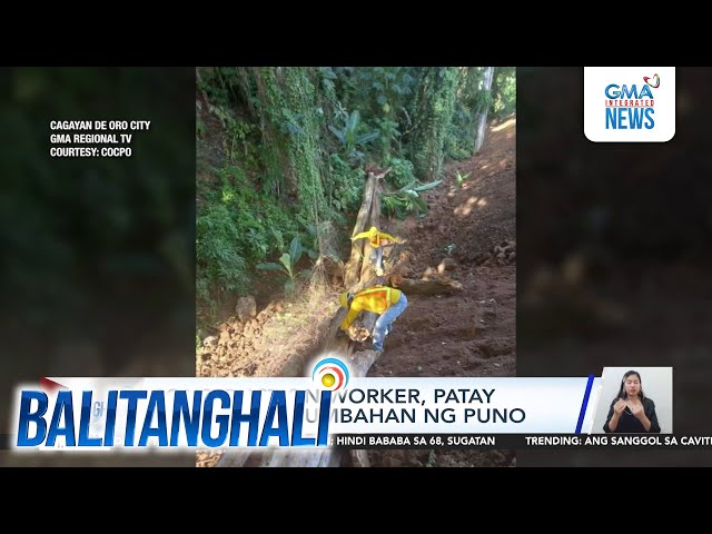 ⁣Construction worker, patay matapos matumbahan ng puno | Balitanghali