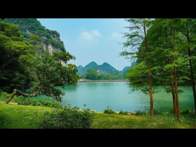 ⁣Live: Tranquil serenity in China's Liuzhou City – Longtan Park