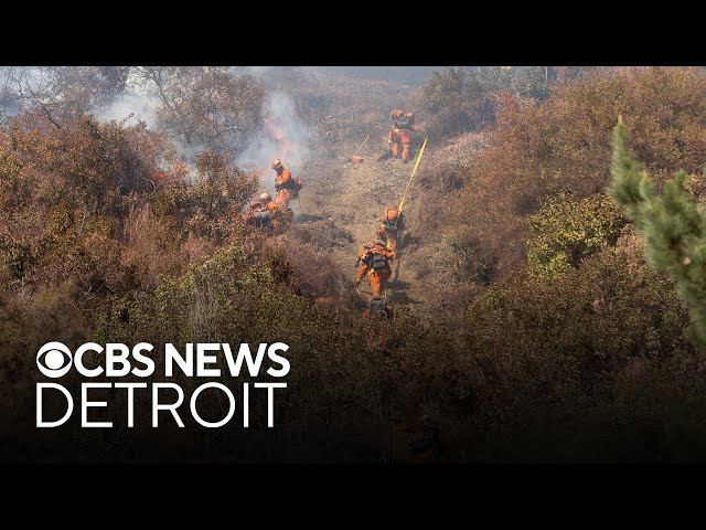 ⁣Eaton, Palisades Fires continue to burn in Los Angeles County as death toll rises