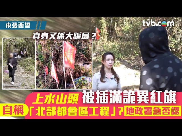 東張西望｜上水山頭被插滿詭異紅旗 自稱「北部都會區工程」？地政署急否認