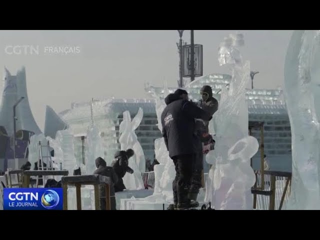 ⁣Harbin : les concours de sculpture sur glace et sur neige attirent des artistes du monde entier