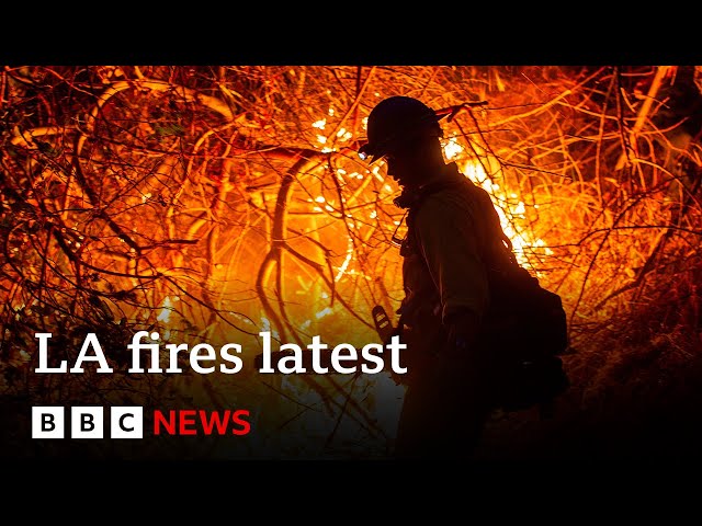 ⁣LA fires could 'take off' again, fire chief warns, with high winds expected | BBC News