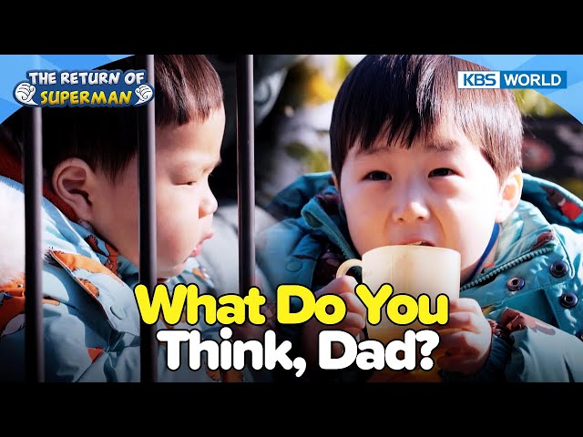 ⁣HoWoos Hike for the New Year [The Return of Superman:Ep.555-3] | KBS WORLD TV 250112