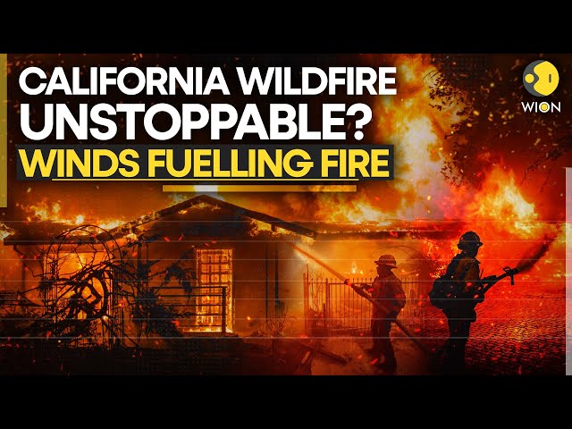 ⁣Greater Los Angeles Wildfire | California Wildfire LIVE: Strong Wind Adds Fuel To Wildfire | WION