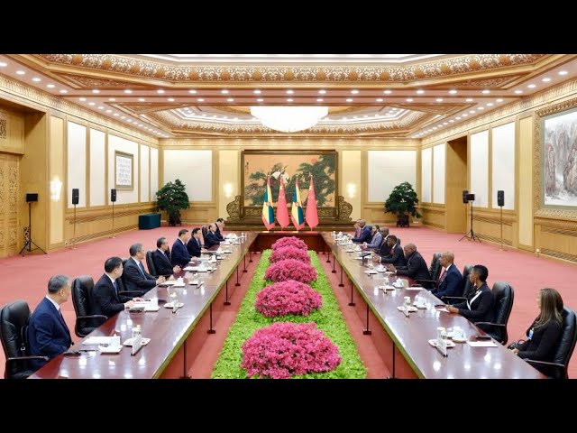 ⁣Chinese President Xi Jinping meets Grenadian PM Mitchell in Beijing