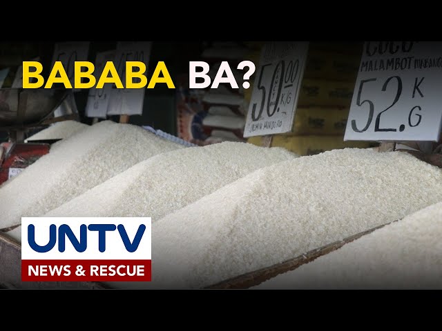 ⁣Presyo ng bigas sa international market, bumaba; MSRP ng imported rice, posibleng mas mapababa pa—DA