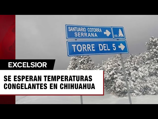 ⁣Alertan por temperaturas congelantes en Chihuahua