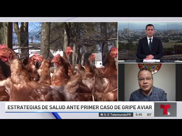 ⁣Personas expuestas a gallinas con gripe aviar arrojan resultados negativos