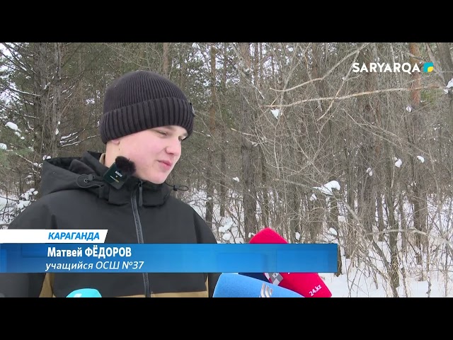 ⁣Спасение пернатых в холода