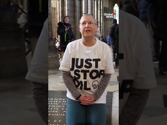 ⁣Climate activists deface Charles Darwin’s Westminster Abbey gravesite